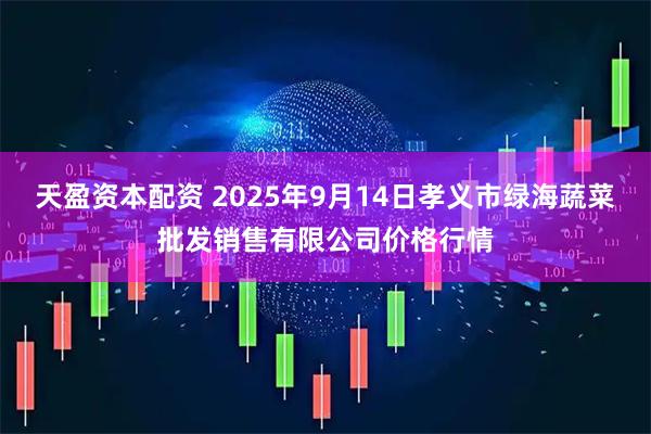 天盈资本配资 2025年9月14日孝义市绿海蔬菜批发销售有限公司价格行情