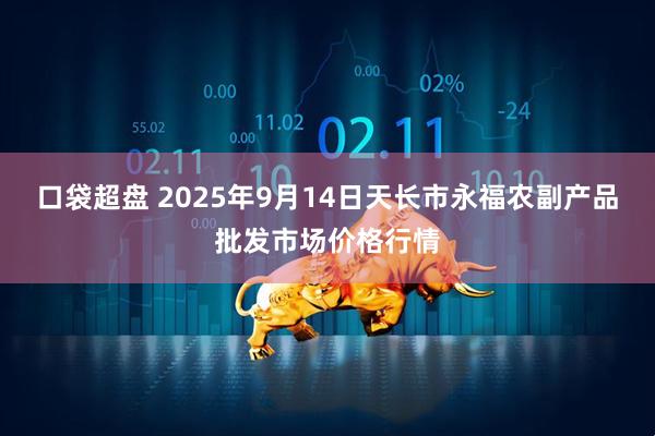 口袋超盘 2025年9月14日天长市永福农副产品批发市场价格行情