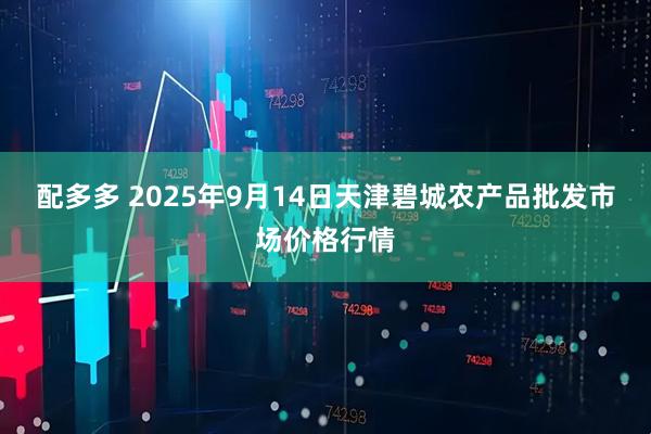 配多多 2025年9月14日天津碧城农产品批发市场价格行情