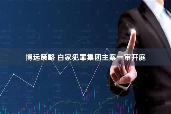 博远策略 白家犯罪集团主案一审开庭