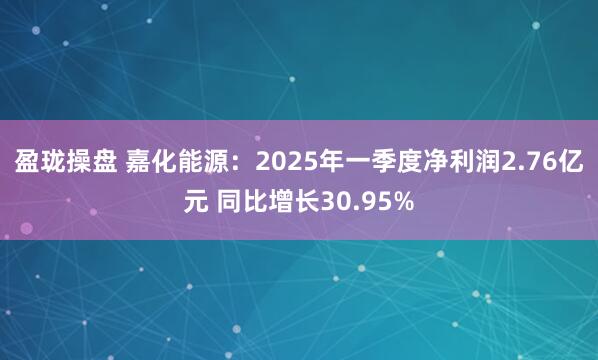 盈珑操盘 嘉化能源：2025年一季度净利润2.76亿元 同比增长30.95%