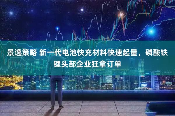 景逸策略 新一代电池快充材料快速起量，磷酸铁锂头部企业狂拿订单