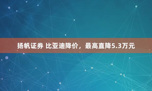 扬帆证券 比亚迪降价，最高直降5.3万元