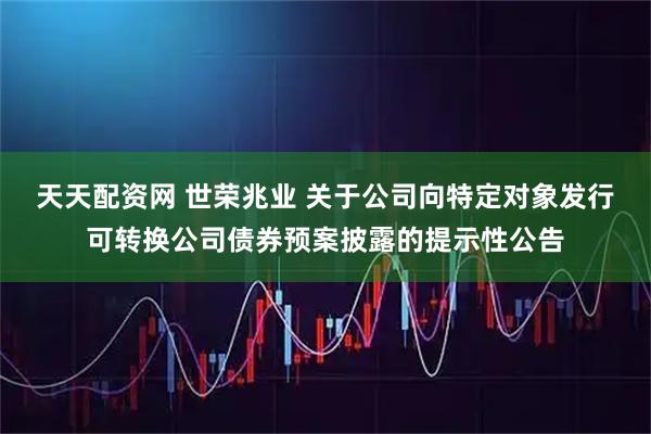 天天配资网 世荣兆业 关于公司向特定对象发行可转换公司债券预案披露的提示性公告
