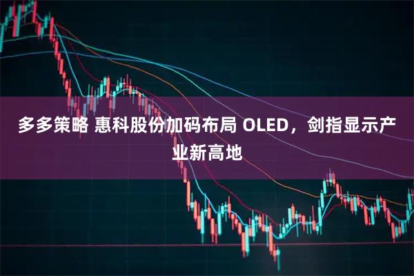 多多策略 惠科股份加码布局 OLED，剑指显示产业新高地