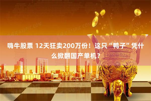 嗨牛股票 12天狂卖200万份！这只“鸭子”凭什么掀翻国产单机？